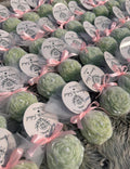 Glowora Luxury Peony Flower Event Candles with Silver Leaf